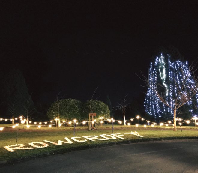 Rowcroft Hospice – Light Up A Life Event